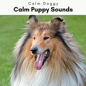 1 Calm Puppy Sounds