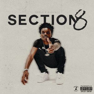 Section 8 (Explicit)