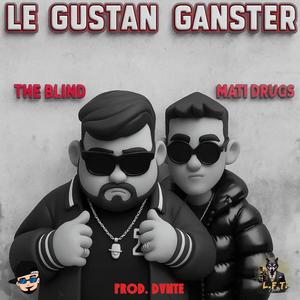 LE GUSTAN GANSTER (feat. Mati *****)