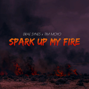 Spark up My Fire