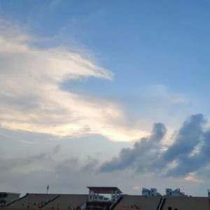沈园外