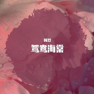 鸳鸯海棠