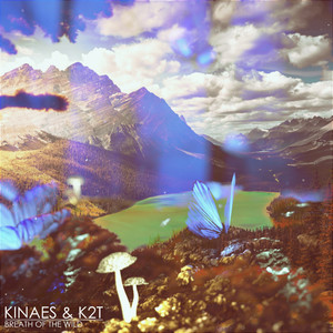 Breath of The Wild (Original Mix)