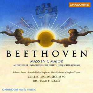 Mass, Op. 86 - III. Qui tollis peccata mundi