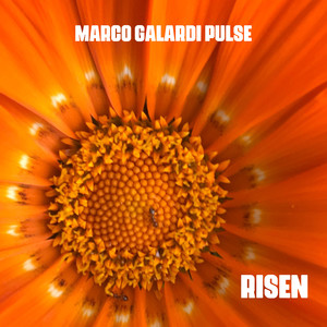 Risen