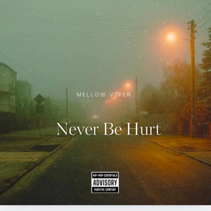 Never Be Hurt (Explicit)