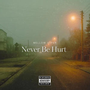 Never Be Hurt (Explicit)