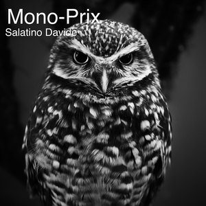 Mono-prix