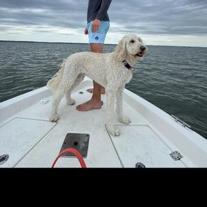 Enjoy the view (Demo)