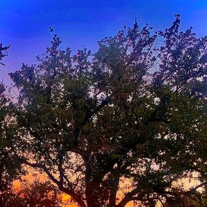 Never Look Away ( Different) (Explicit)