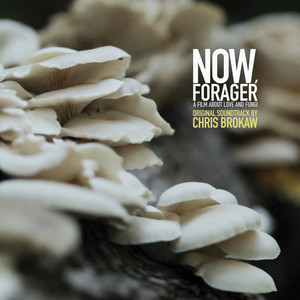 Now, Forager (Original Motion Picture Soundtrack)