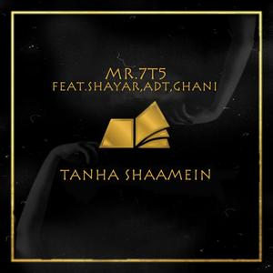 Tanha Shaamein (feat. Shayar, Adt & Ghani)