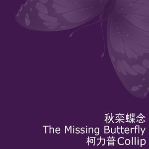 秋栾蝶念 (伴奏)