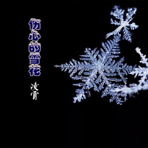 伤心的雪花