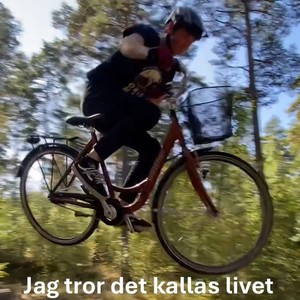 Jag tror det kallas livet