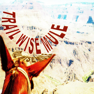 Trail Wise Mule