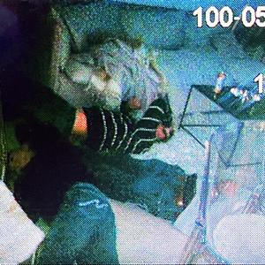 snälla snälla snälla