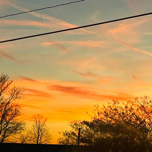 Nxt Up (feat. Pooka) (Explicit)