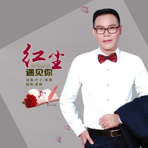 红尘遇见你(dj版)