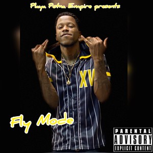 Fly Mode (Explicit)