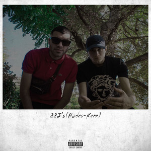 223's (Explicit)