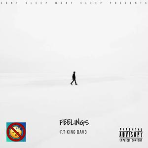 Feelings (feat. KiNG DAV3) (Explicit)