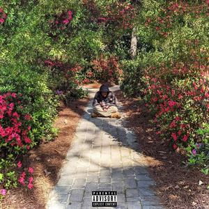 Harmony(feat. Kamus Leonardo) (Explicit)