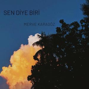 Sen Diye Biri