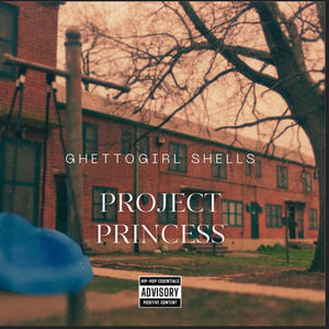 Boosie Flow (Explicit)