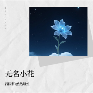无名小花