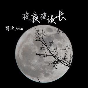 夜夜夜漫长 (DJ德朋版)封面