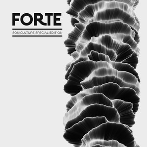 How Forte Are you (V i L Remix)