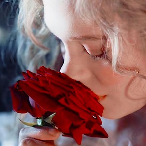 溯 (Reverse) (四国语言版)