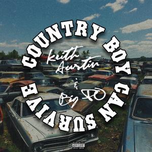 Country Boy Can Survive (feat. Big PO) (Explicit)