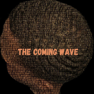 The Coming Wave (Explicit)