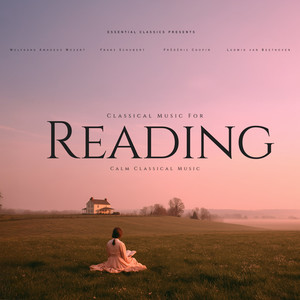 24 Préludes, Op. 28: 15. Sostenuto in D-Flat Major