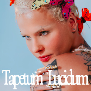 TAPETUM LUCIDUM