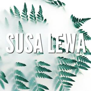 Susa Lewa (feat. Tolenz & Jeff Hardy)