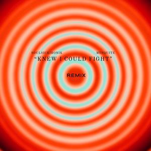 KNEW I COULD FIGHT (REMIX|Explicit)