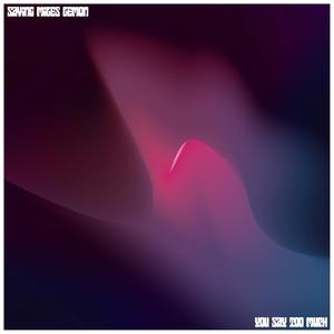 You Say Too Much (Explicit)