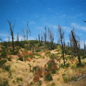 Sometimes We Die a Little