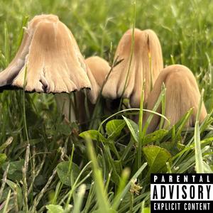 100 Blunts (Explicit)