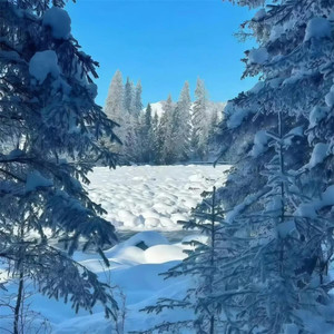 Fog Domination (高燃节奏版)