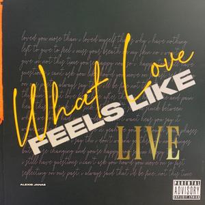 What Love Feels Like (LIVE) [Explicit]