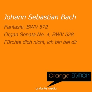 Komm, Jesu, komm - BWV 229