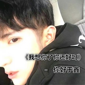 我想你了你还好吗