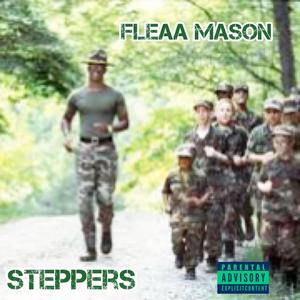 Steppers (Explicit)