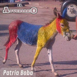 Patria Boba (El Himno De Los Idiotas)