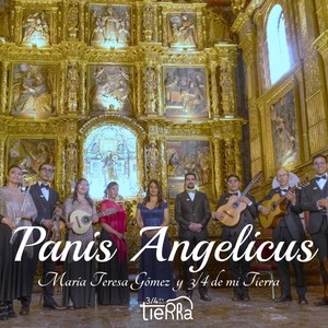 Mass, Op. 12 - V. Panis Angelicus