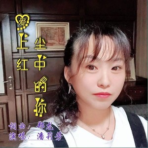 爱上红尘中的你